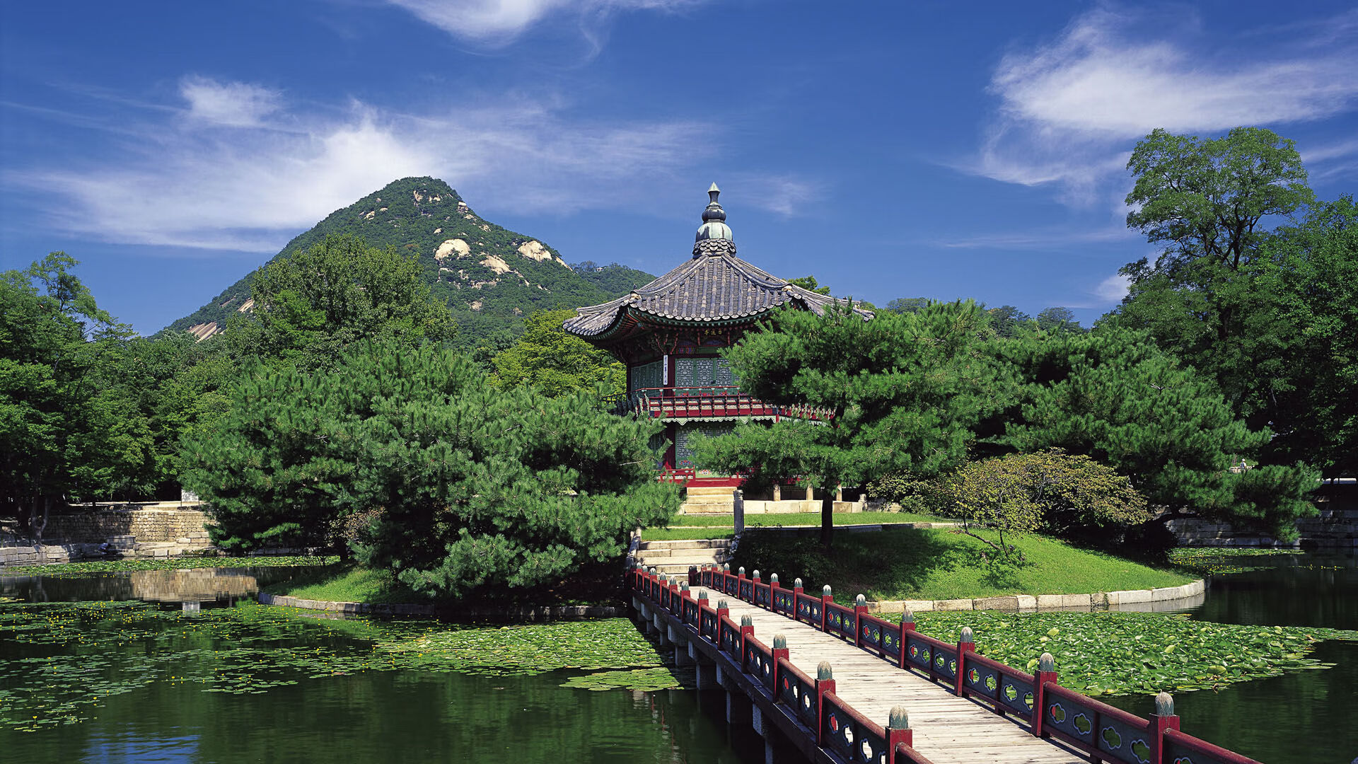 世界举重康复教师培训:功能训练与运动医学结合成主流,举重课程